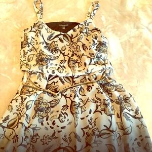 Lane Bryant Floral Ombré Dress